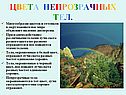 Цвета непрозрачных тел
