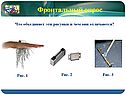 Что объединяет эти рисунки