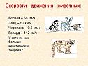 Скорости движения животных