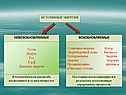 Уголь Нефть Газ Торф Ядерная энергия