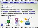 Диффузия в растительном мире