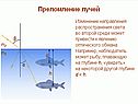Физика света