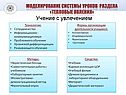 Моделирование системы уроков раздела «Тепловые явления»