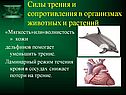 Силы трения и сопротивления