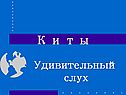 Киты