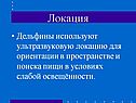 Локация