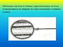 Наблюдаю светлые и тёмные горизонтальные полосы, изменяющиеся по