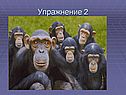 Изображения, даваемые линзой