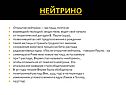 Нейтрино