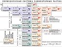 Классы элементарных частиц
