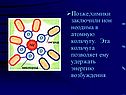 Химики заключили ион неодима в атомную кольчугу