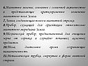 Магнитное явление