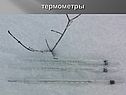 Термометры