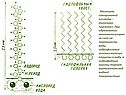 Молекула стеариновой кислоты