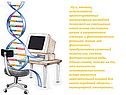 Использование ориентированных молекулярных ансамблей
