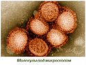 Молекулы под микроскопом