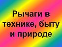 Рычаги в технике, быту и природе