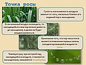Насыщенный и ненасыщенный пар