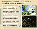 Вид атмосферных осадков