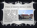Учеба и работа Нильса Бора