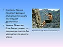 Учитель: Трение помогает девушке спускаться по канату или мешает