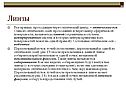 Прямые, проходящие через оптический центр