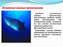 Плавание живых организмов