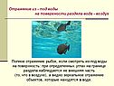 Отражение из - под воды на поверхности раздела вода - воздух
