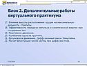 Дополнительные работы виртуального практикума
