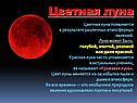 Примеры световых явлений