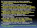 Тургай