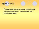 Цель урока