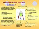 Как происходит процесс кипения