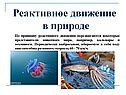 «Реактивное движение» 9 класс