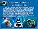 Реактивное движение в животном мире