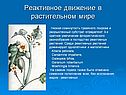 Реактивное движение в растительном мире