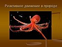 Реактивное движение в природе