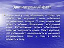 Занимательный факт