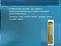 Ромбическая система