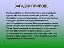Загадки природы