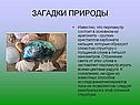 Загадки природы
