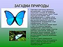 Загадки природы