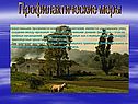 Профилактические меры