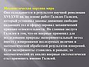 Механистическая картина мира Она складывается в результате научной