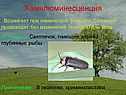 Хемилюминесценция
