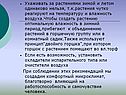 Ухаживать за растениями зимой и летом одинаково нельзя, т.к.растения