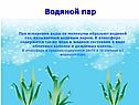 Водяной пар