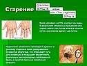 Старение