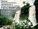 Тропики Тропики расположены в экваториальных и субэкваториальных