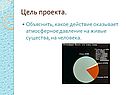 Цель проекта